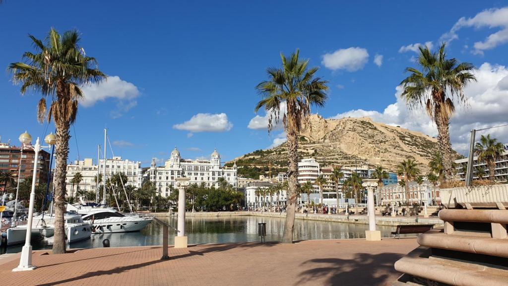 Foto de alicante